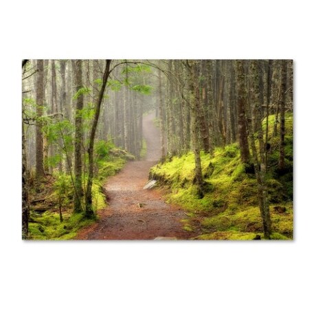 Trademark Fine Art Mike Jones Photo 'Lubec Path' Canvas Art, 16x24 ALI17778-C1624GG